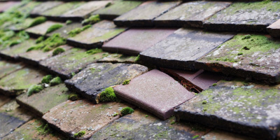 Nazeing roof repair costs